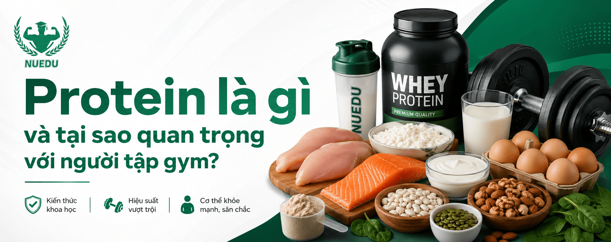 Protein là gì và tại sao quan trọng với người tập gym?