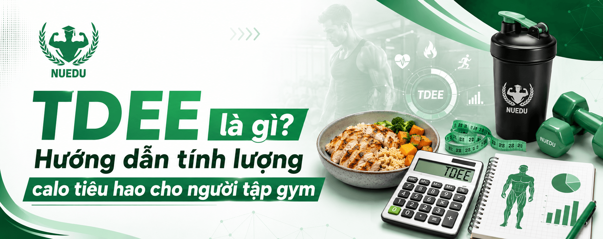 TDEE là gì? Hướng dẫn tính lượng calo tiêu hao cho người tập gym