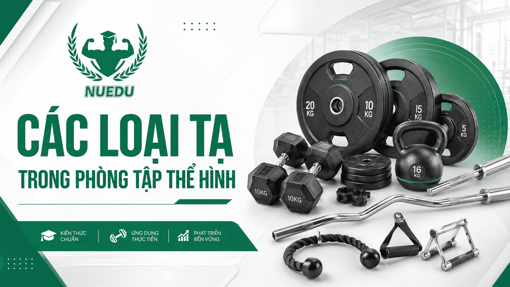 Các loại tạ trong phòng tập thể hình