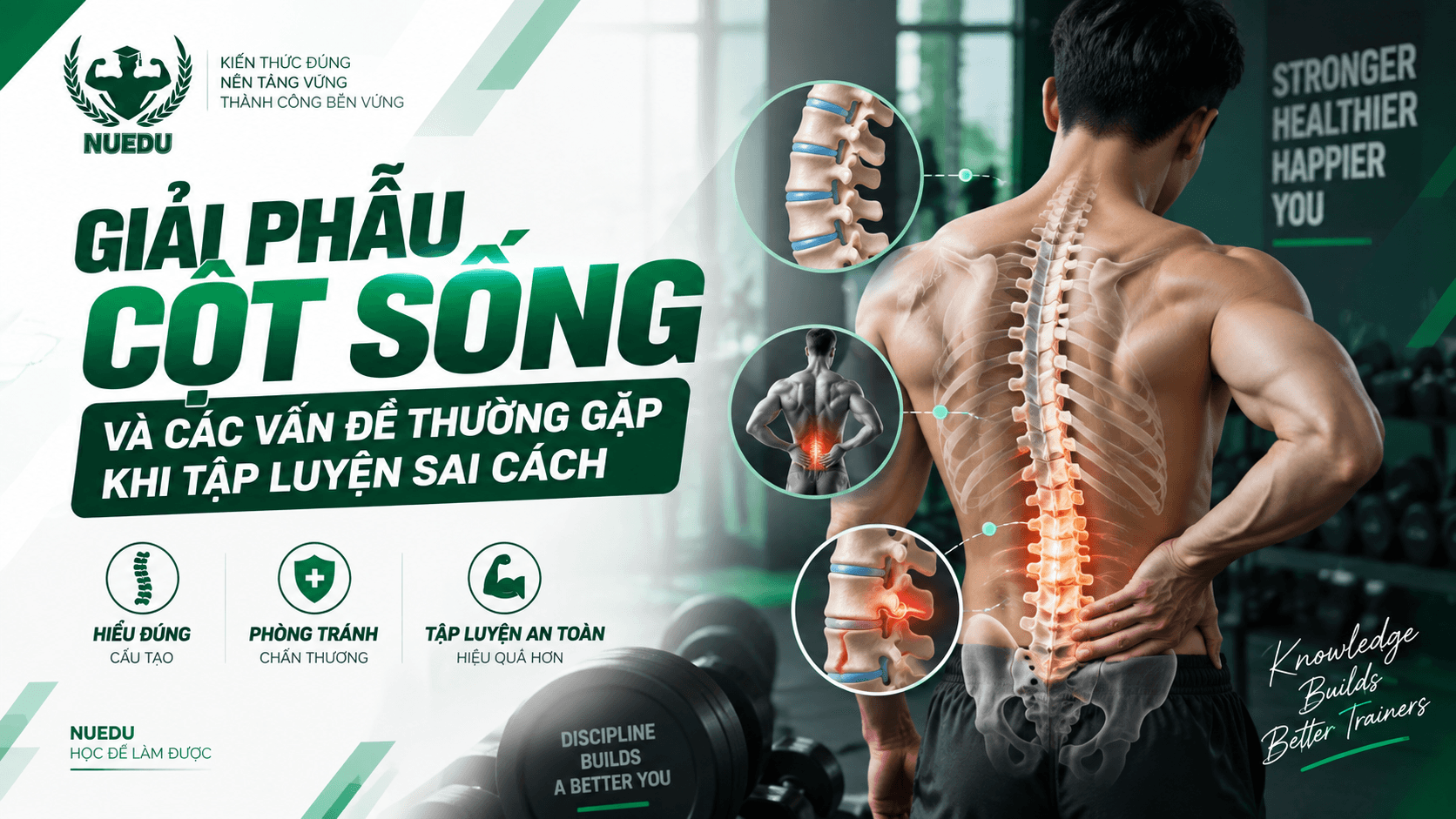 Giải phẫu cột sống và các vấn đề thường gặp khi tập luyện sai cách