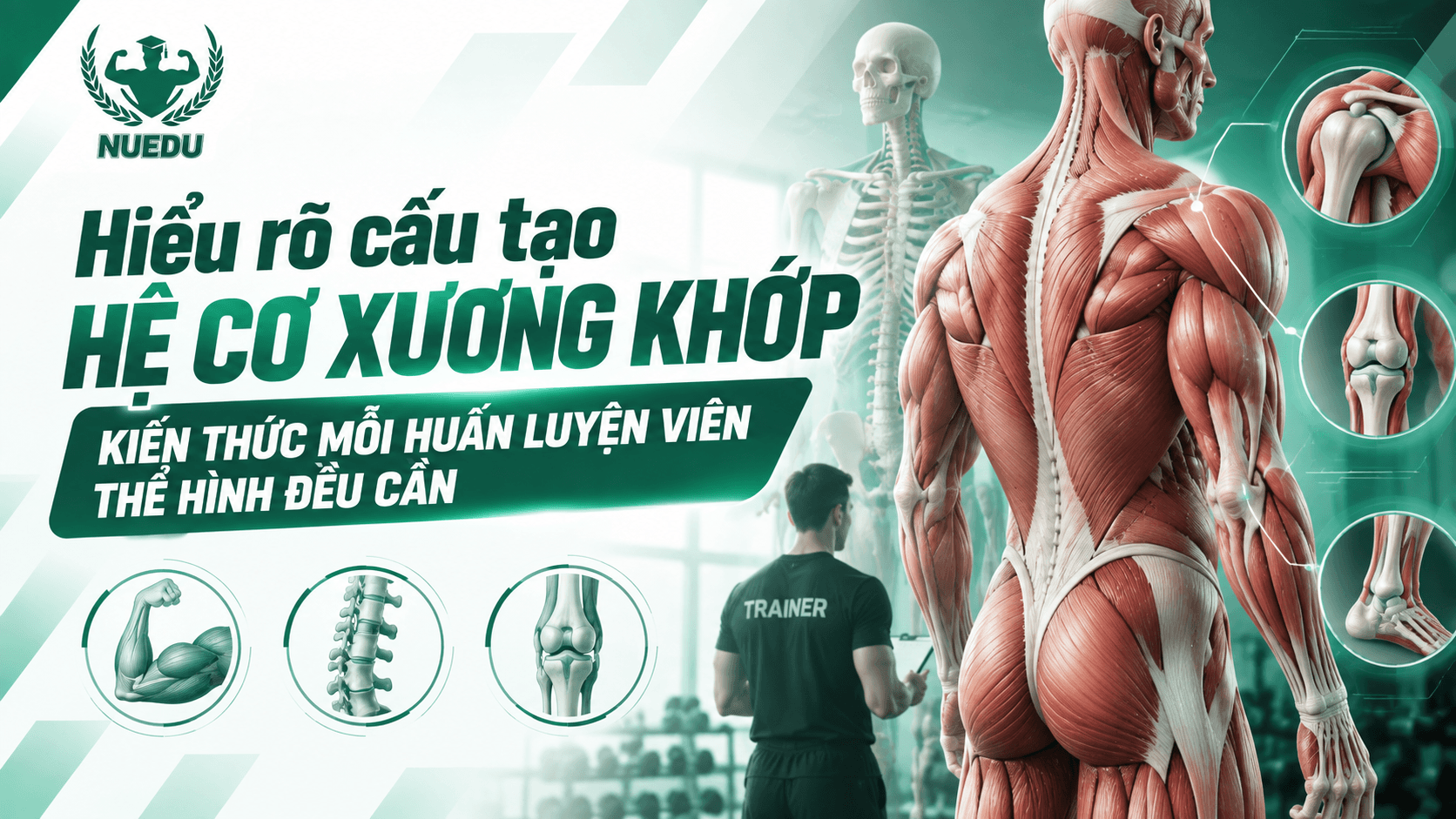 Hiểu rõ cấu tạo hệ cơ xương khớp kiến thức mỗi huấn luyện viên thể hình đều cần